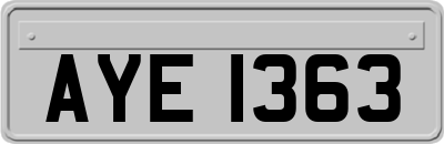 AYE1363