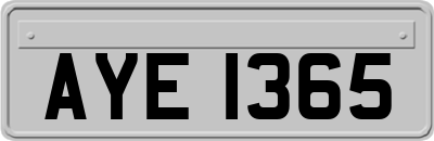 AYE1365