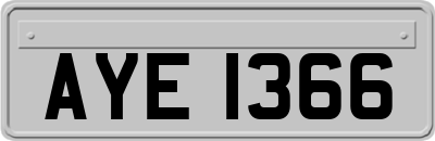 AYE1366