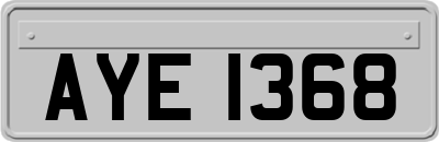 AYE1368