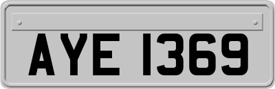 AYE1369