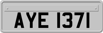 AYE1371
