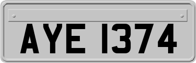 AYE1374