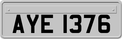 AYE1376