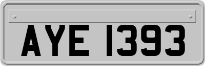 AYE1393