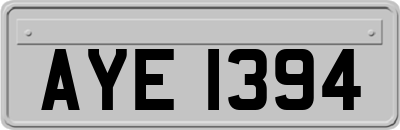 AYE1394