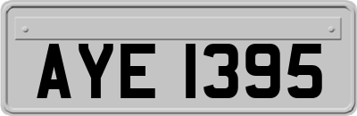 AYE1395