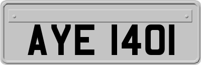 AYE1401