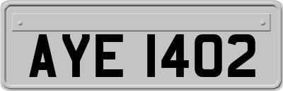 AYE1402