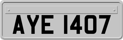 AYE1407