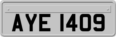 AYE1409