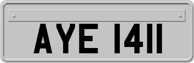 AYE1411