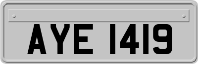 AYE1419