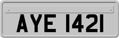 AYE1421