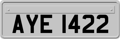 AYE1422
