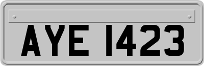AYE1423