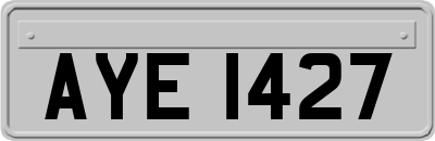 AYE1427