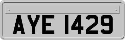 AYE1429