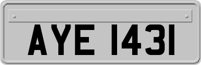AYE1431