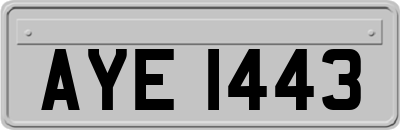 AYE1443