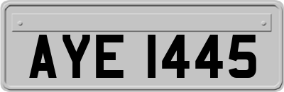 AYE1445
