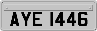 AYE1446