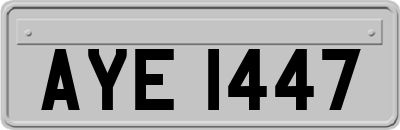 AYE1447
