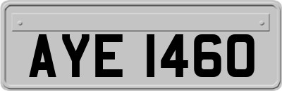 AYE1460