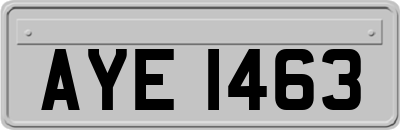 AYE1463