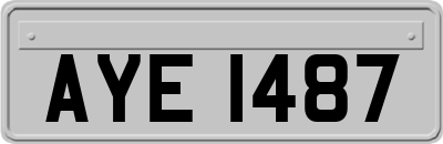 AYE1487