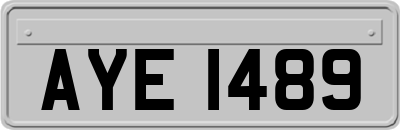 AYE1489