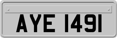 AYE1491