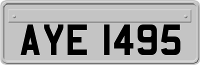 AYE1495