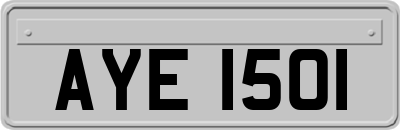 AYE1501