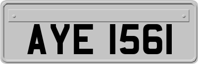 AYE1561