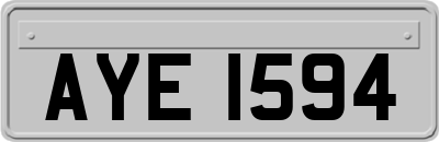 AYE1594