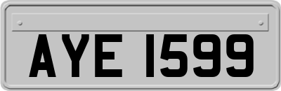 AYE1599