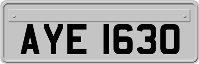 AYE1630