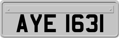 AYE1631