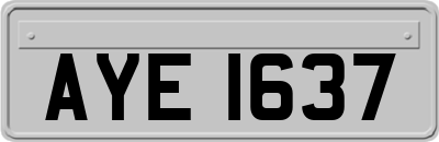 AYE1637