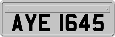 AYE1645