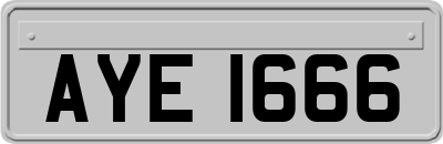 AYE1666