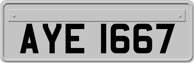 AYE1667