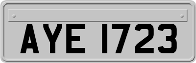 AYE1723