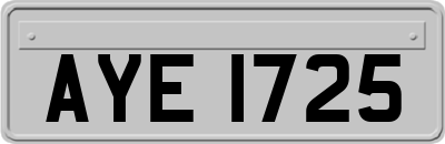 AYE1725