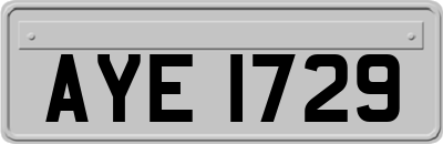 AYE1729