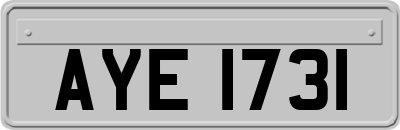 AYE1731