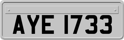 AYE1733