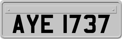 AYE1737