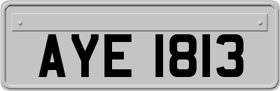 AYE1813